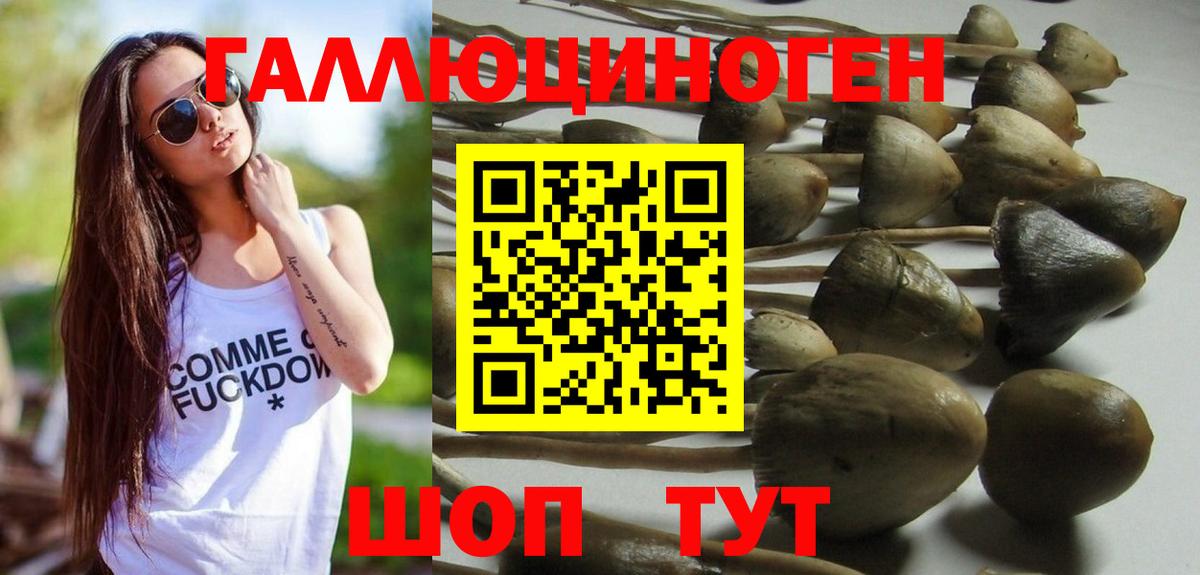Галлюциногенные грибы ЛСД  Вход с VPN  Волоколамск 